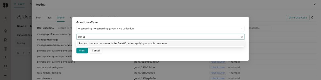 Grant Use-Case dialog with Run As User selected