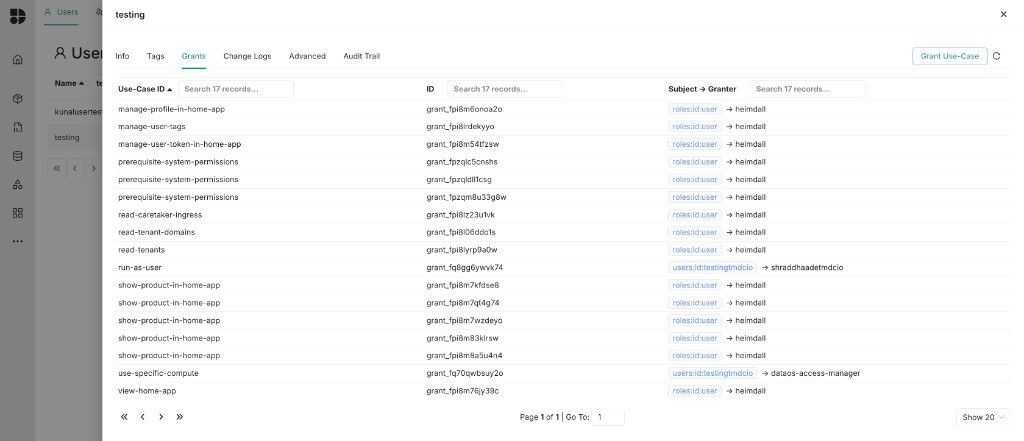 Grants tab showing the new Run As User grant