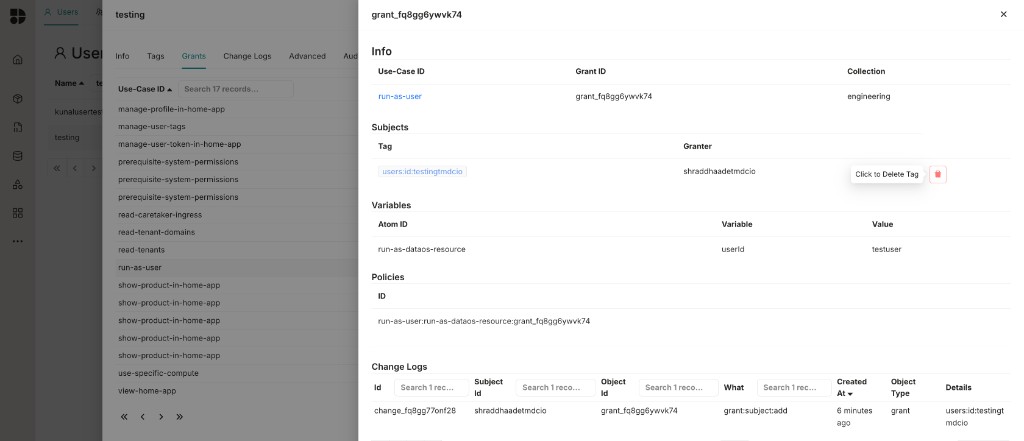 Grants tab showing the run-as-user entry